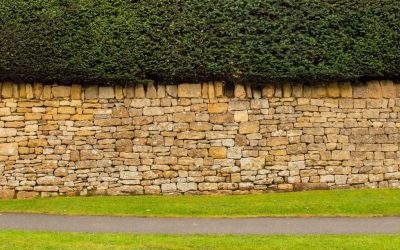 A cotswold stone wall topped with a hedge with a path and strip of grass in front suitable for a banner